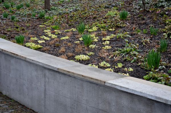 Cost of Concrete Wall Construction in Arlington