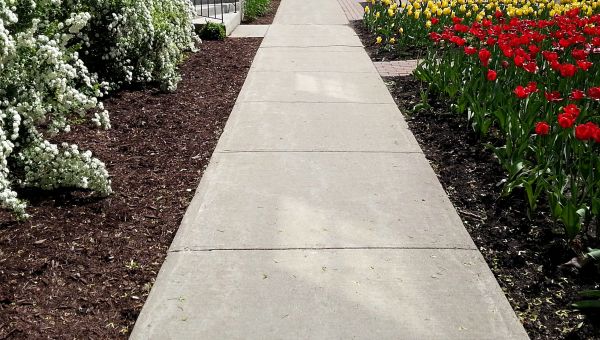 Cost of Cement Sidewalk Installation in Arlington